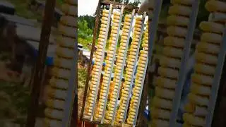 500 THOUSAND for 1 KG of Royal Jelly 