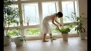 how to purify air at home