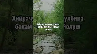 20. Даймахках лаьцна. ГIиллакхийн хазна – Ирсан некъаш