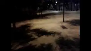 ДиКая Барса . день 7. в планах запустить воздушный фонарик