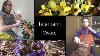 Г.Ф. Телеман Виваче