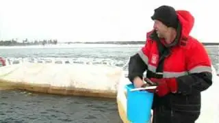Разведение форели в Печоре