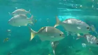 CUBA - Varadero - Sanctuary @ Grand Memories - All Inclusive