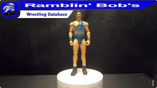 Simon Gotch - 2016 Mattel Inc (WWE)