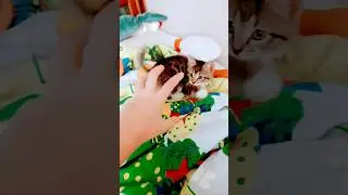 #рекомендации #рек #хочуврек #топ #ютуб #котик