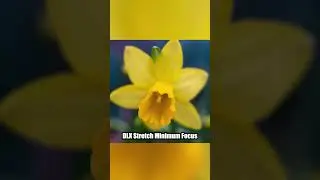 Pentax K to Fujifilm Macro Adapter #photography #macrophotography