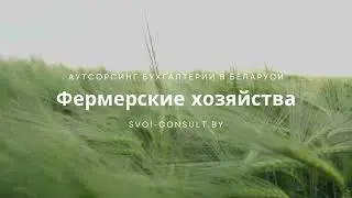 Бухгалтерия для фермеров в Беларуси от svoi-consult.by