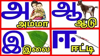 உயிர் எழுத்துக்கள்|அ ஆ இ ஈ அரிச்சுவடி| learn Tamil alphabet letters|tamil ueir ezuthukkal|prinit