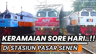 HUNTING SORE KERETA API JARAK JAUH DI STASIUN PASAR SENEN SORE HARI..!!