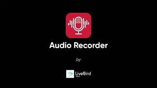 Audio Recorder & Voice Editor