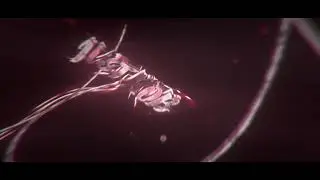 #97 Intro JvstRob | Paid | Xnider [Unreadable xD]