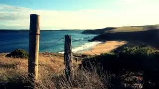 Modest Intentions - Cold Autumn