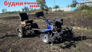 уборка гарбуза с огорода мотоблоком 23 сентября 2023
