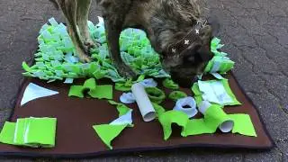 Multi-Schnüffelwiese für Hunde