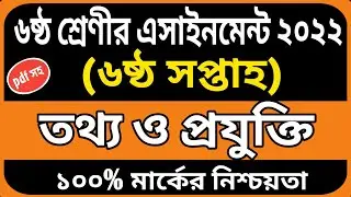 Class 6 ict assignment answer 6th week | Class 6 assignment solution | Class 6 assignment