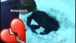 Ең аянышты махаббат хикаясы..