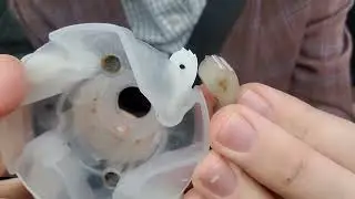 Estate washing machine agitator repair