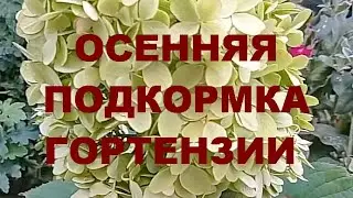 Кормлю горты с ложечки 😉😉🥄🌼🌼
