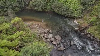 Fearless Trout Devour Streamers in Backcountry River