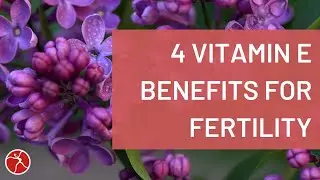 4 Benefits of Vitamin E for Fertility