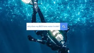 Why does my BCD have water inside? | Answered | @simplyscuba