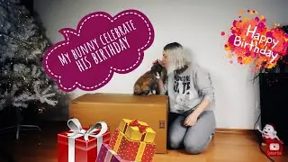 Birthday of my rabbit