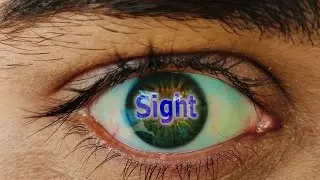 Sight - TheReaperPepper