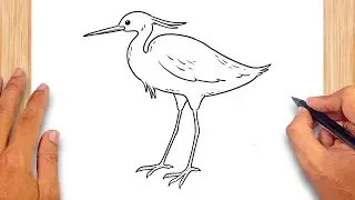 How to draw Heron