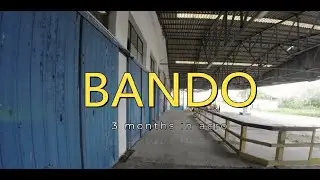 Bando - 3 Months In Acro