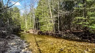 Hockley Valley, Mono - 2 Lots with River Frontage For Sale | Mary & Kait KLEIN
