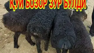 ЧИРОҚЧИ ҚЎЙ БОЗОРИ