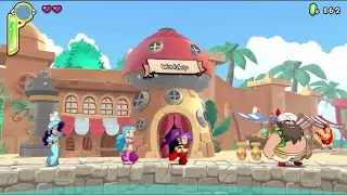 Shantae Half-Genie Hero - Shantae Normal 100% (