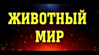 ЗЕЛЕНЬ