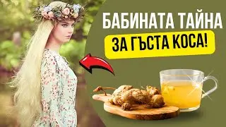 Рецептата на баба КОРЕН ОТ РЕПЕЙ против косопад и за растеж | Маска за коса с корен от репей