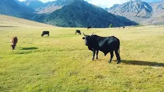 KOHISTAN --- The Hidden Beauty --- SUPAT VALLEY --- KPK. Pakistan