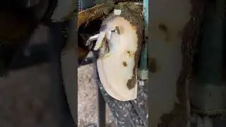 There’s bubbles in there??
