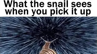 Wholesome Memes to Share With Your Friends ❤️