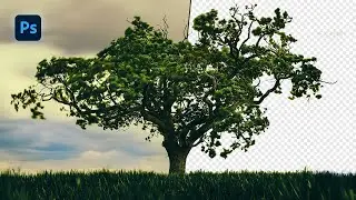 Remove Complex Background In Photoshop #photoshoptutorial