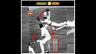 Cricket 🏏 के 3 😮 Shocking Facts 💯 #cricket  #facts #shorts