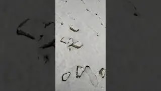 Знакомство