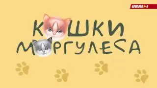 ПОЛИТБЛОГ КОШКИ МОРГУЛЕСА: ШАНС ДЛЯ ЮРЕВИЧА, ОБАМЫ И НАВАЛЬНОГО