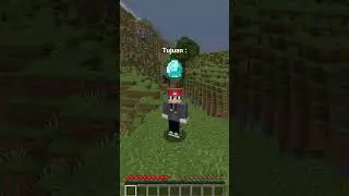 Minecraft, tapi jika kamu like videonya, aku dapat effect 