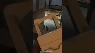 Surprise the Enemy 