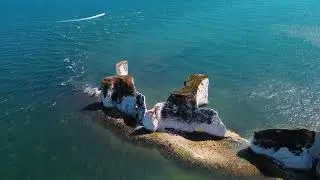Gentle healing music for health and calming the nervous system, deep relaxation  Music for life