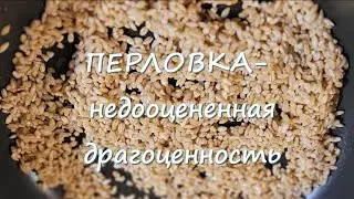 Перловка - недооцененная драгоценность!