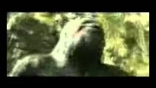 King kong1