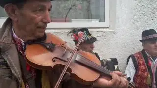 Закарпаття .Гусляр аматор