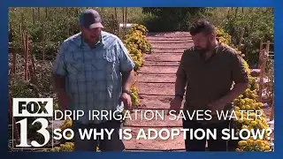Drip irrigation grows crops with a lot less water, so why aren't more Utah farmers using it?