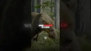 This Guy Saved His Friend's Life In A BEAR Attack 🥹