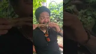 BEEFSTEAK BONE WITH FUNNY SOUND EFFECTS😁